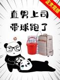 直男总裁带球跑